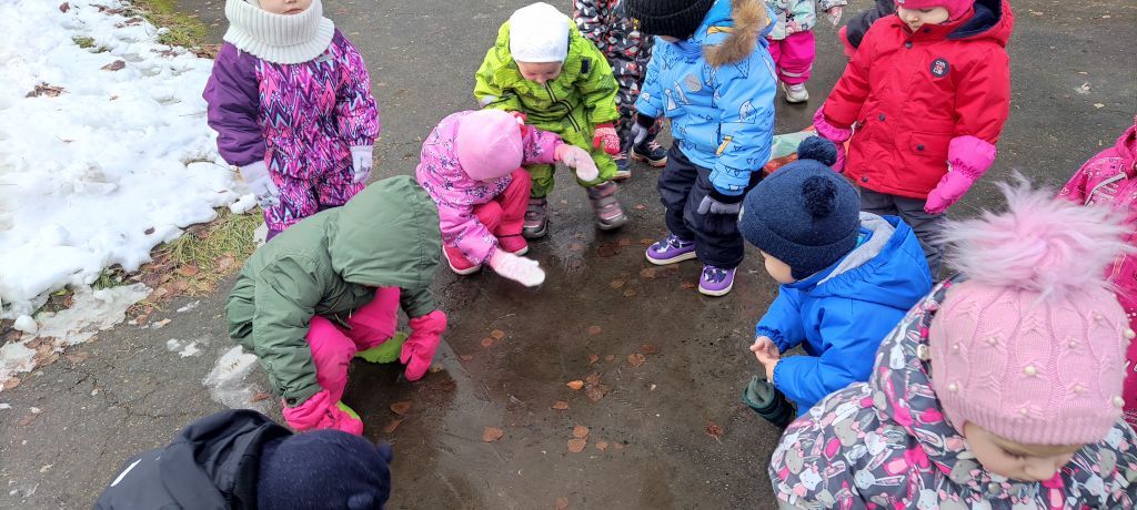 Фото прогулки наблюдения.jpg