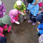 Фото прогулки наблюдения.jpg